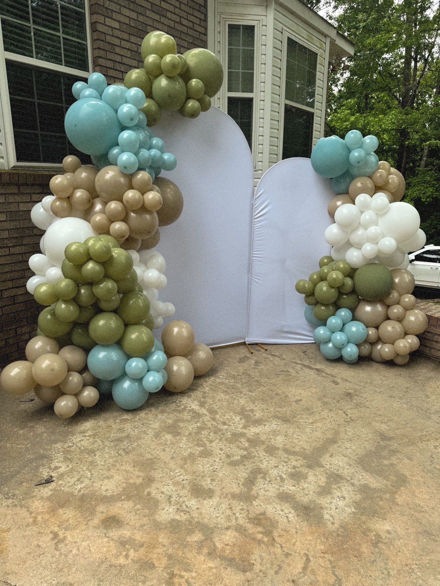 Amazon Balloon Arch | Amazon Birthday Decorations | Dinosaur Themed Birthday Balloon Arch | DIY Balloon Arch

#LTKParties #LTKKids