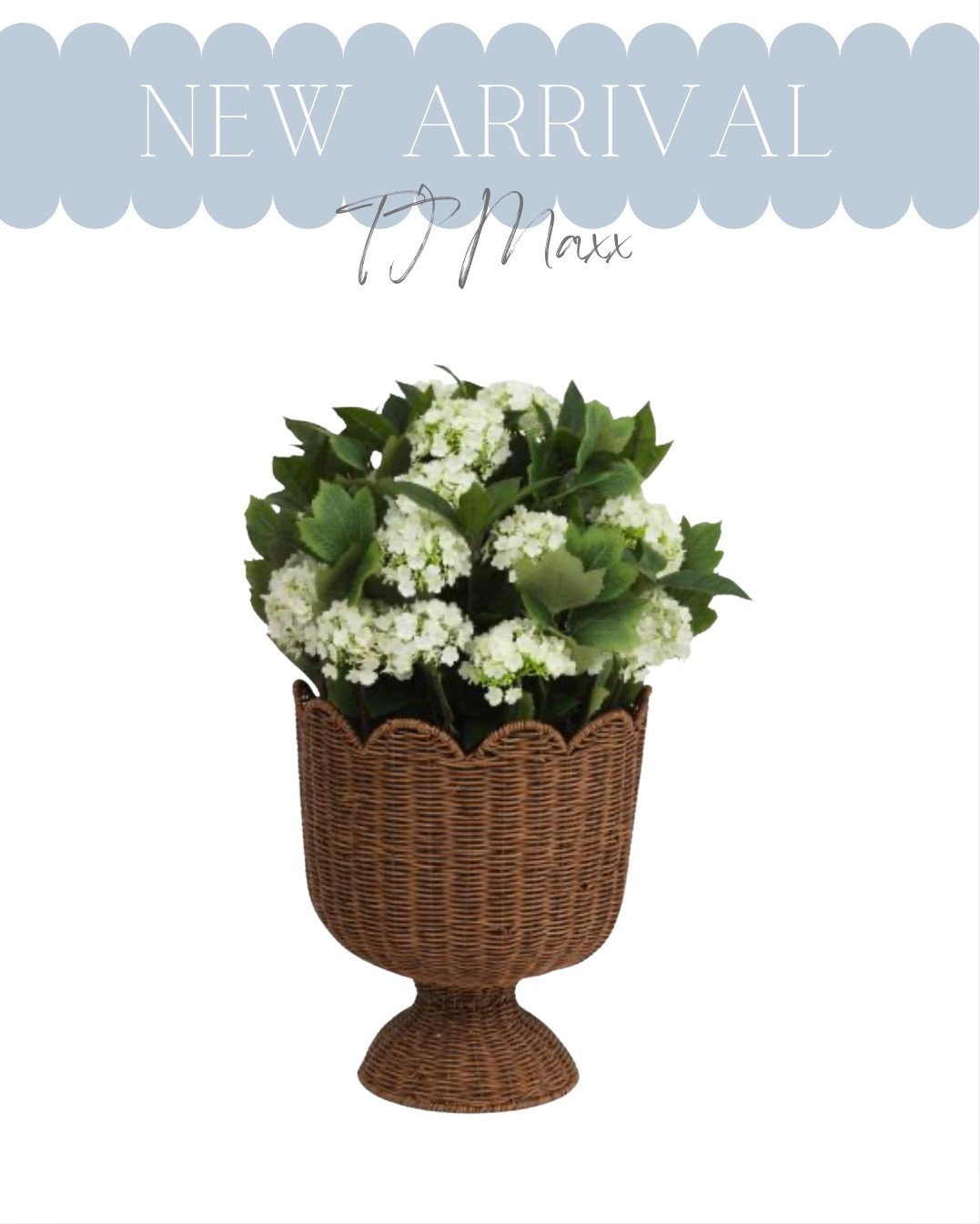 Real touch outdoor faux hydrangeas in woven scalloped planter! These will sell out fast! Perfect for your spring porch refresh!

coastal decor, blue and white decor, spring hosting, Serena and Lily style, classic coastal, coastal home decor, classic coastal style, spring entertaining, Serena & Lily inspired


#LTKSeasonal #LTKSpringSale #LTKHome