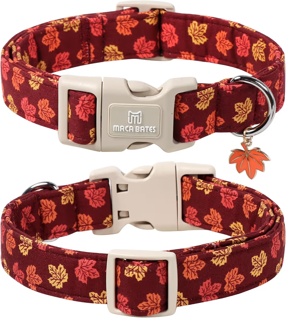 Maca Bates Fall Basic Dog Collar with Maple Leaf Charm for Extra Small Boy,Girl,Autumn Red Foliag... | Amazon (US)