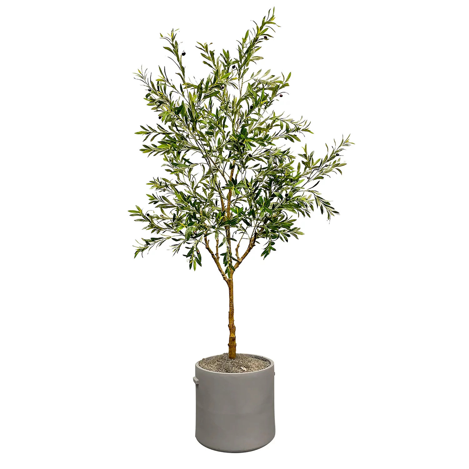 Faux 8' Olive Tree in Oversized Ceramic Pot | Sam's Club