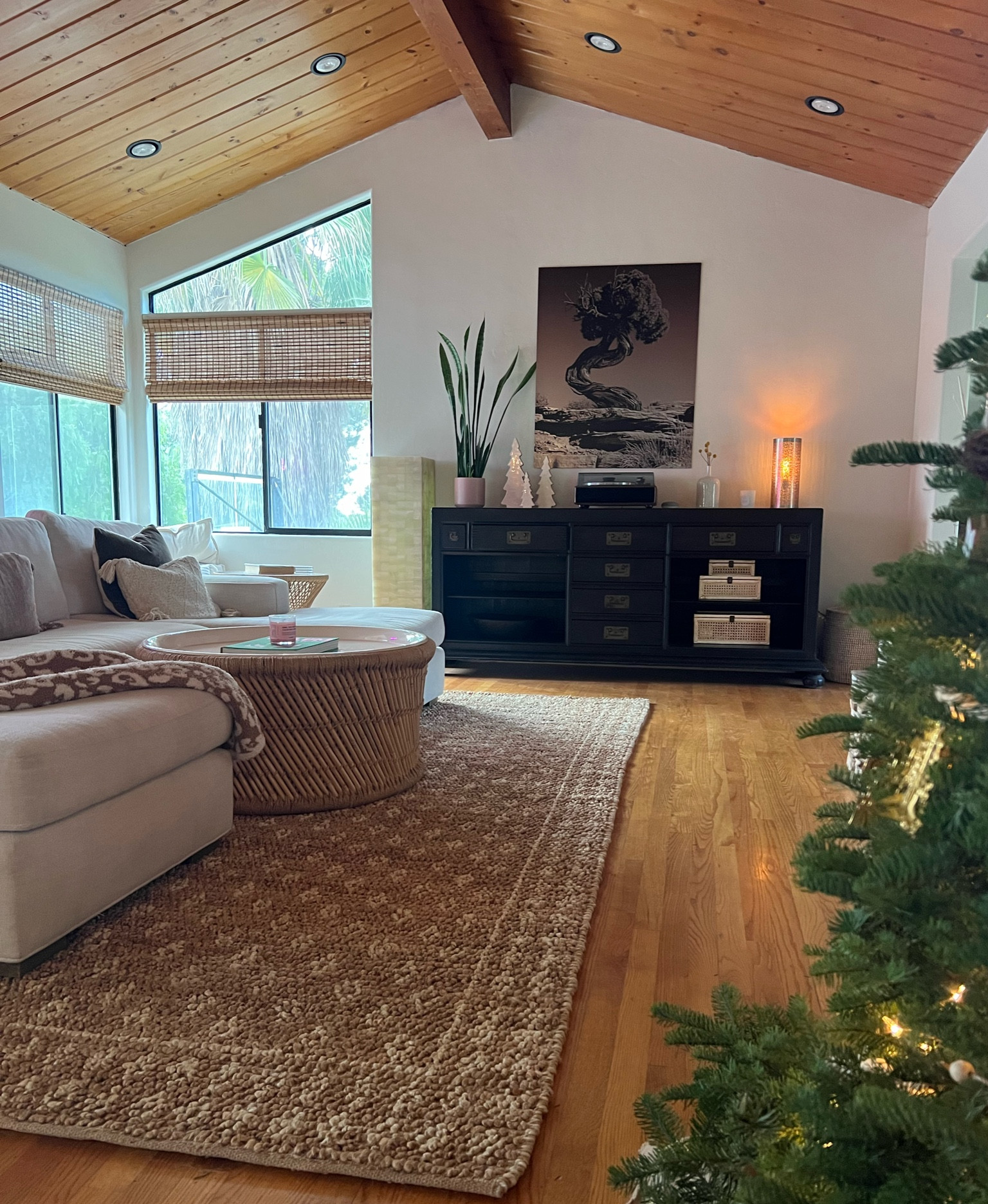 I like to clear my space before the new year by doing some major reorganizing & refreshing. Just got a few new pieces from the Serena & Lily sale. Today is the last day for 25% off + free shipping. The free shipping is major when you’re ordering furniture & rugs. 

#LTKhome #LTKCyberWeek #LTKsalealert