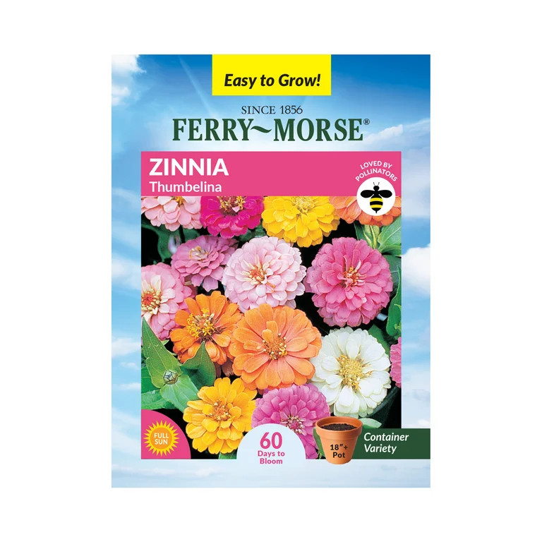 Ferry-Morse 350MG Zinnia Thumbelina Annual Flower Seeds, Full Sun | Walmart (US)