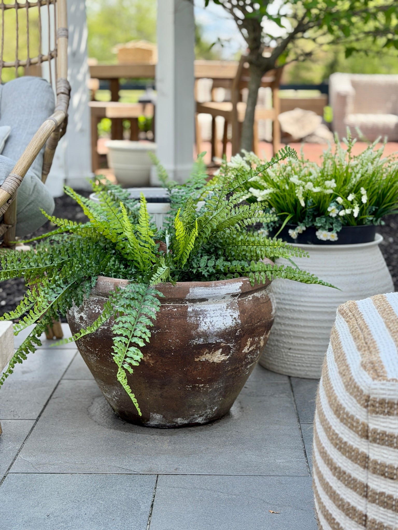Outdoor faux fern and flowers! No watering needed!!

#LTKSeasonal #LTKHome