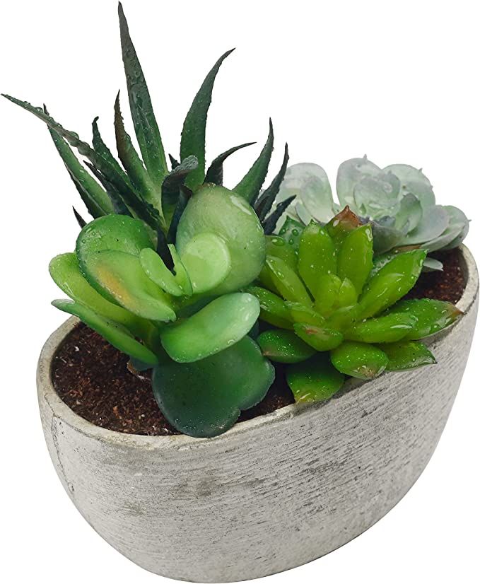MyGift Decorative Artificial Succulent Plant Arrangement with Oval Gray Pot | Amazon (US)
