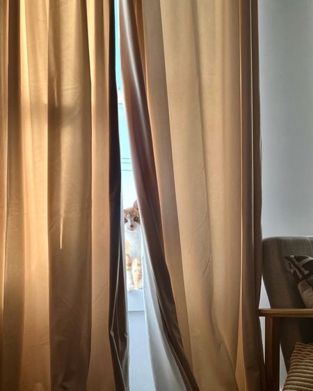 Amazon Velvet Curtains | Amazon Home | Home Decor | Nordstrom Home 

#LTKunder100 #LTKhome