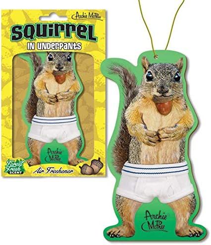 Mcphee Squirrel Standing in Underwear Funny Air Freshener | Amazon (US)
