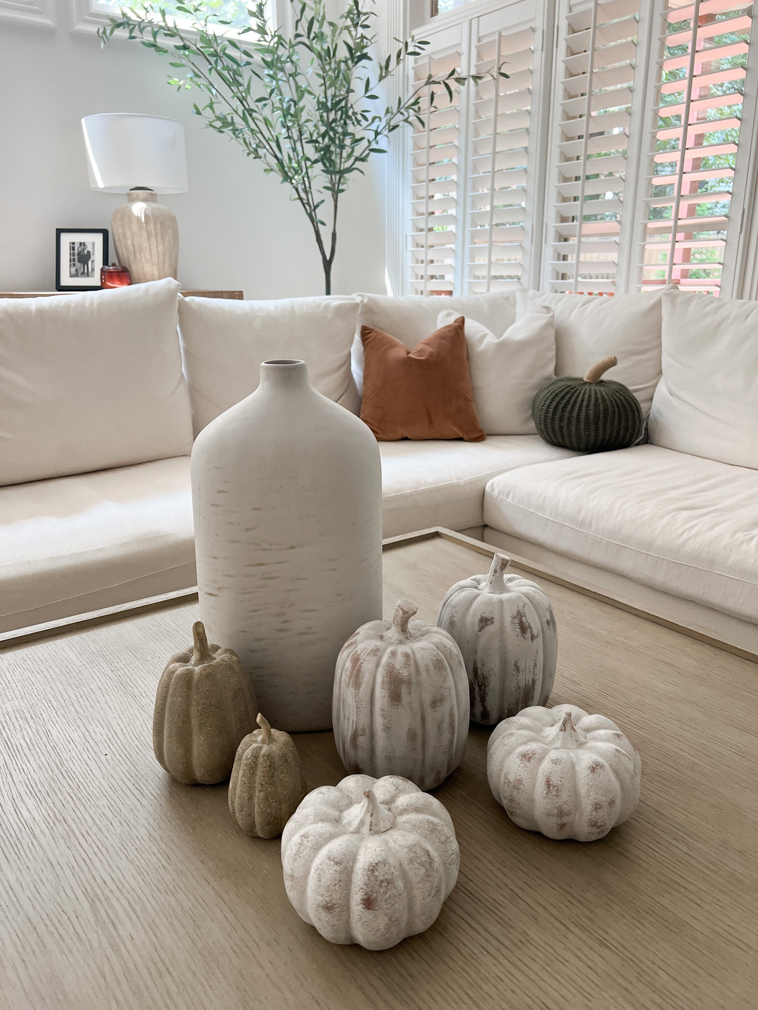 Had to snag more fall decor from target☺️ #target #home #homedecor #fall #falldecor #LTKunder50

#LTKSeasonal #LTKhome