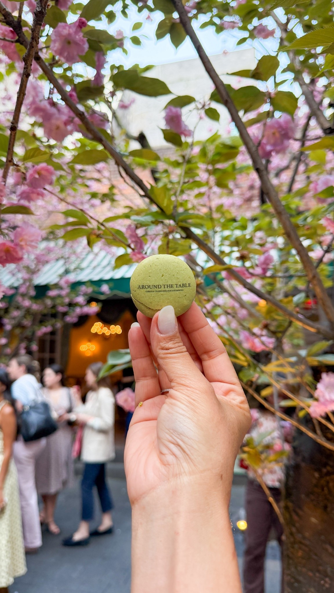 These Ohara semi-cured press-on sails truly saved me the day . So easy to apply and under $15! ✨🤌

10/10 recommend 😍

#LTKHome #LTKSaleAlert