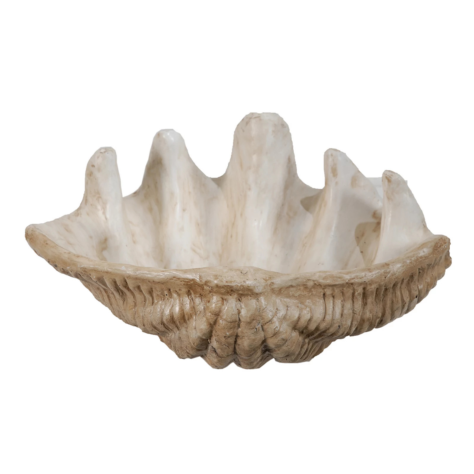 A&B Home Clam Shell Decor | Kohl's