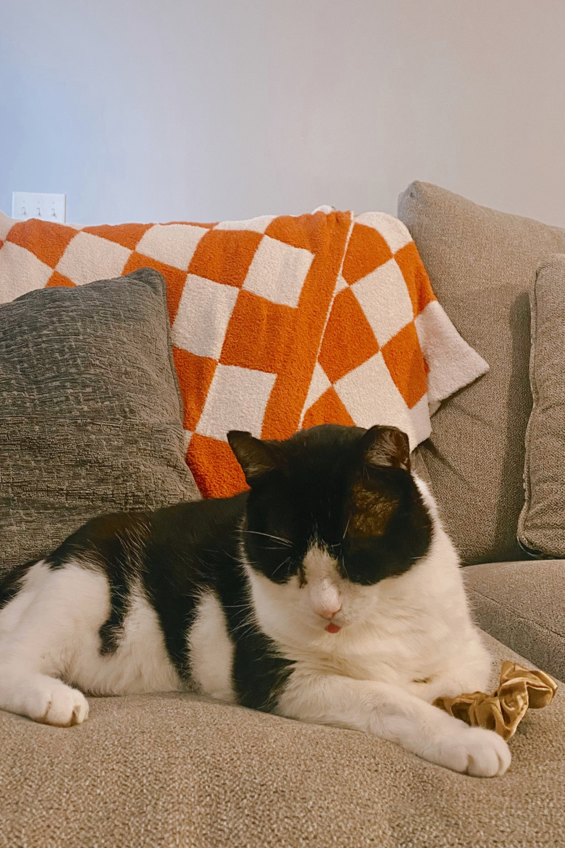 Checkered Sherpa Blaney 

#LTKunder50 #LTKGiftGuide #LTKhome