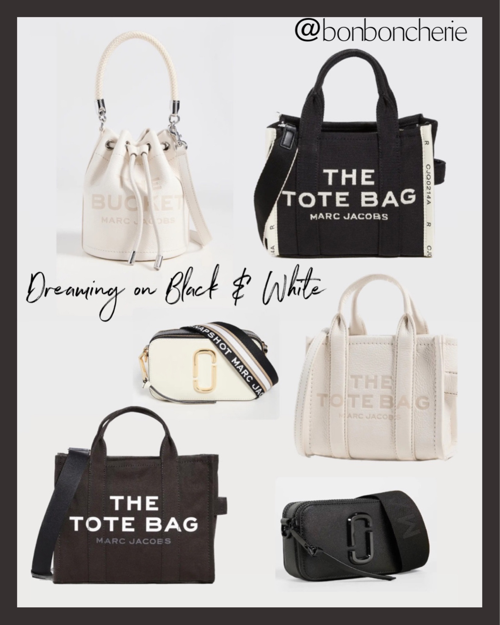 The Snapshot DTM Bag curated on LTK