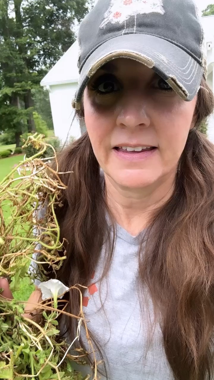 This garden cart and fertilizer have saved my life! 

gardening, summer gardening, gardening tips and tricks, Walmart, home improvement

#LTKHome #LTKSeasonal