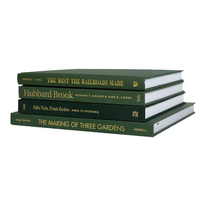 Modern Boxwood ColorStak- Set of 4 | Chairish