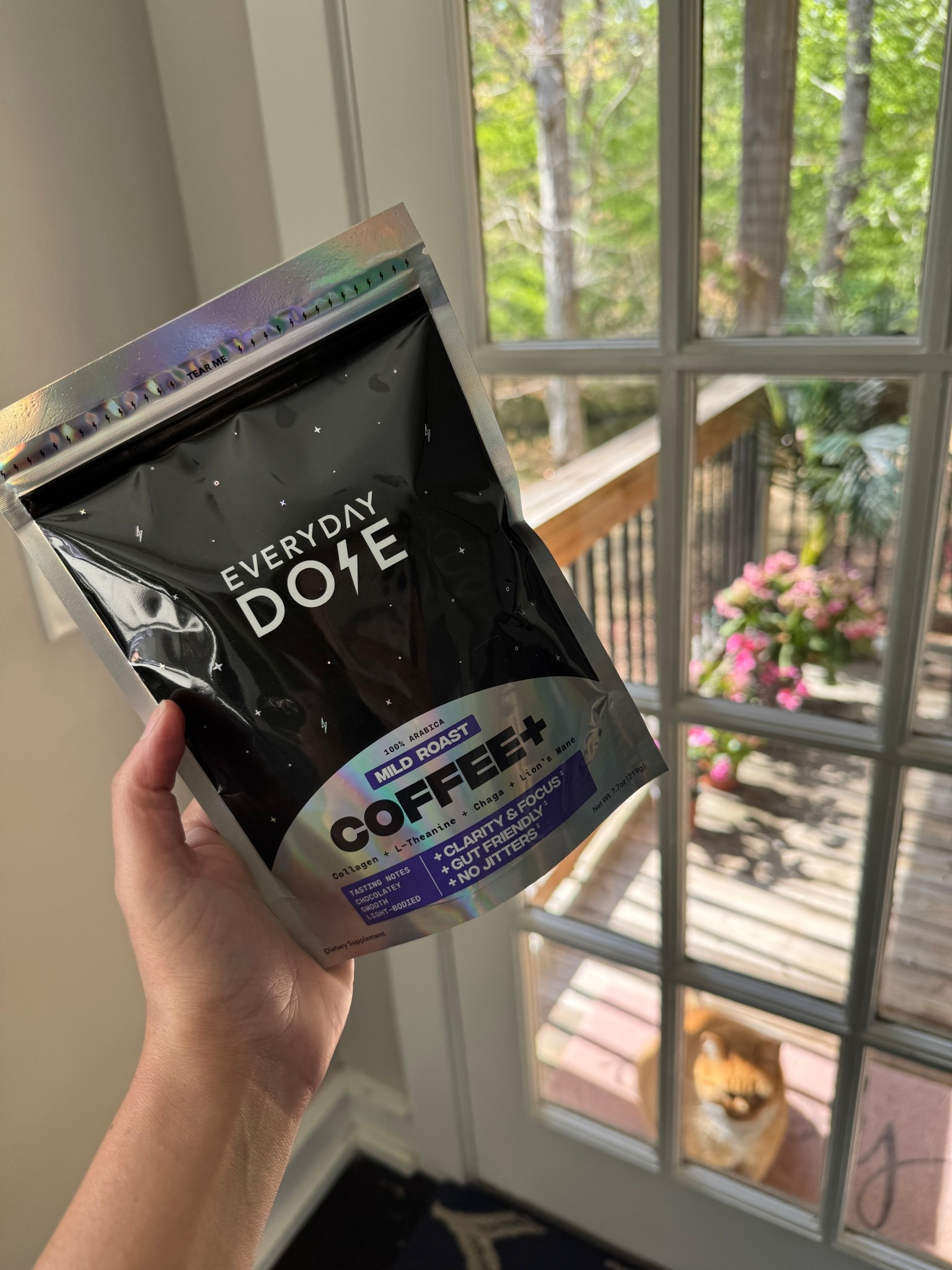 Ready for my afternoon cup of @Everyday Dose ☕️ Can’t go wrong with the added collagen, l-theanine, chaga, and lion’s mane 🙌

#LTKmomlife #LTKselfcare #LTKdayinmylife