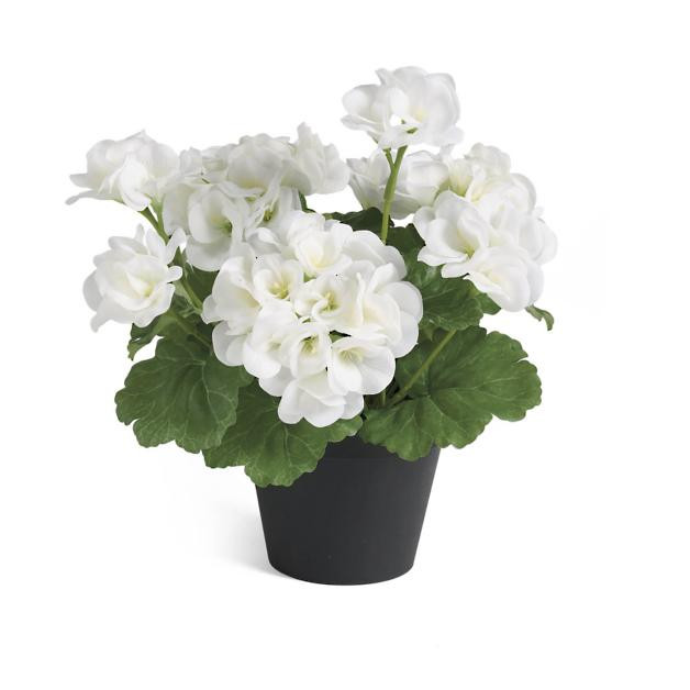 Geranium Tabletop Mini Urn Filler | Grandin Road | Grandin Road