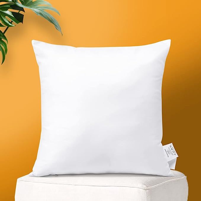 OTOSTAR Throw Pillow Insert 20 x 20 Inch Premium Fluffy Pillow Stuffer Decorative Square Pillow I... | Amazon (US)