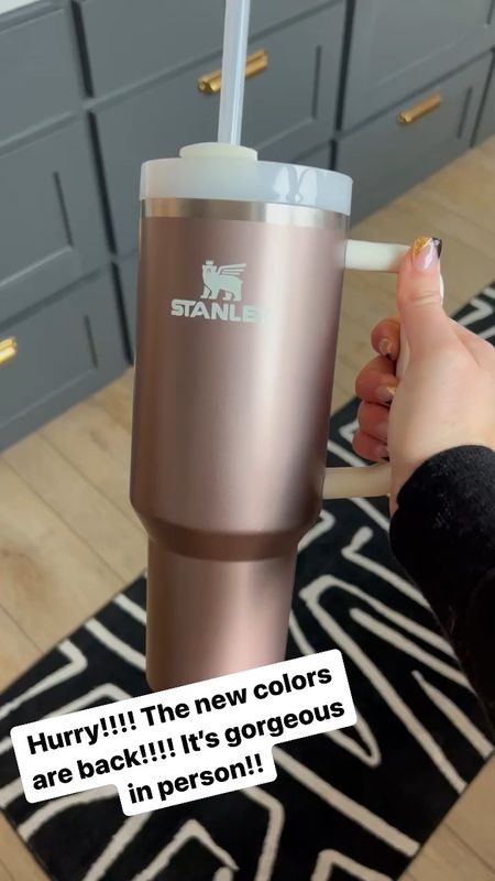 New color back in stock! It won’t last long!!! I can’t live without mine! Especially coming up in baseball season and pool season!! Stanley mug, beach vacation, travel must haves,

#LTKfamily #LTKFind #LTKunder50