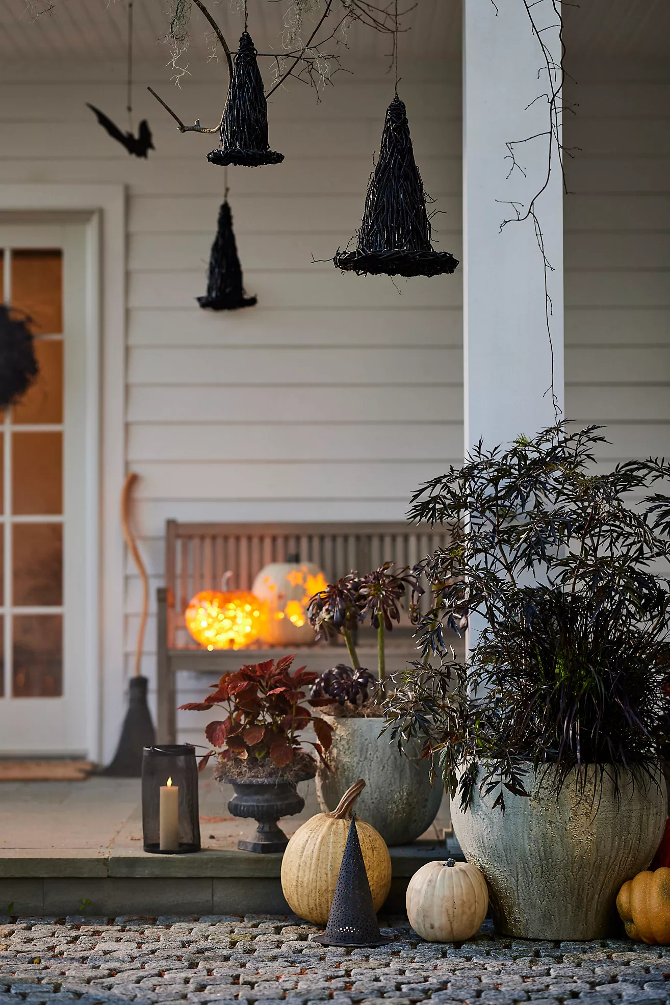 Black Vine Witch Hat | Anthropologie (US)