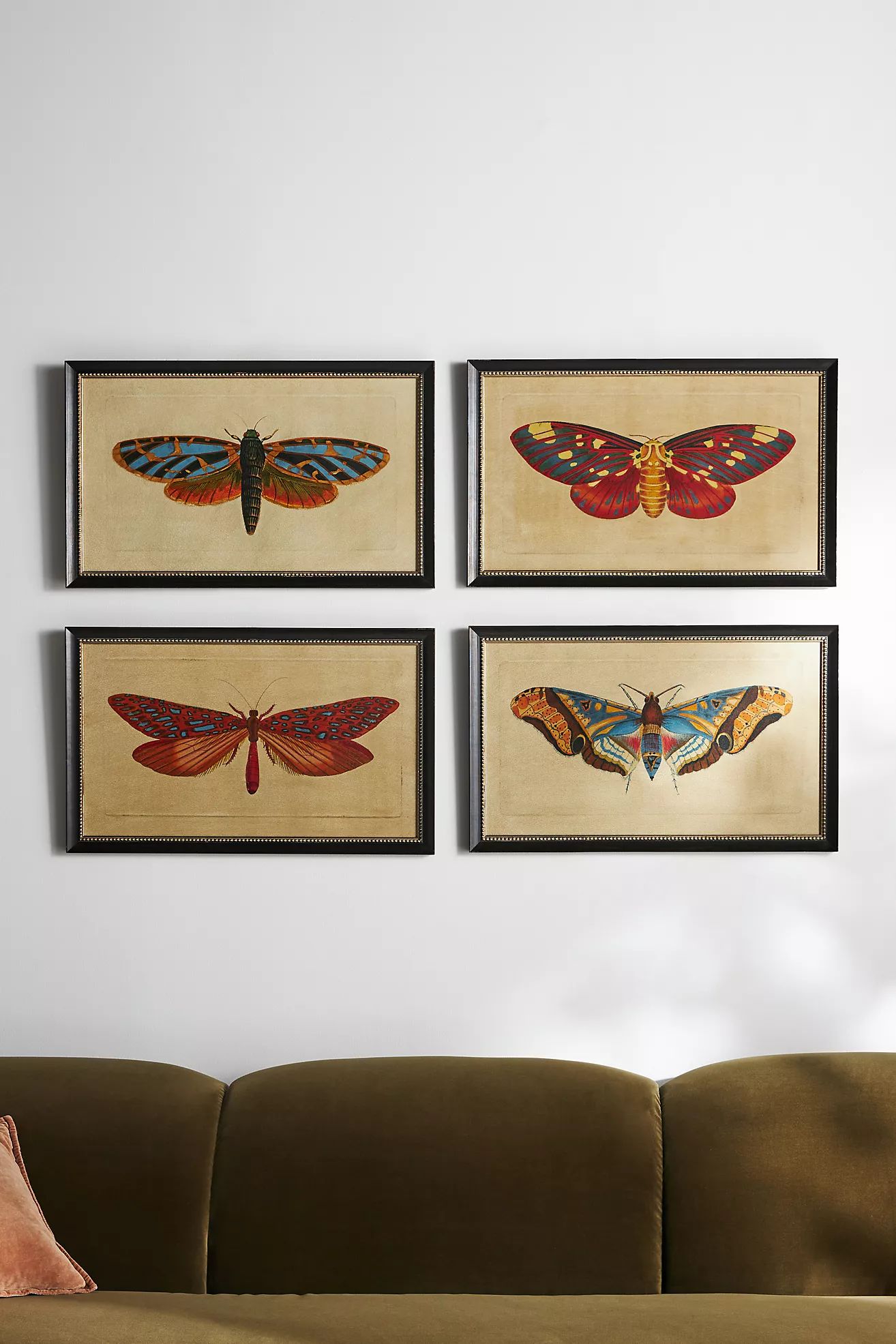 Crackled Moth Wall Art | Anthropologie (US)