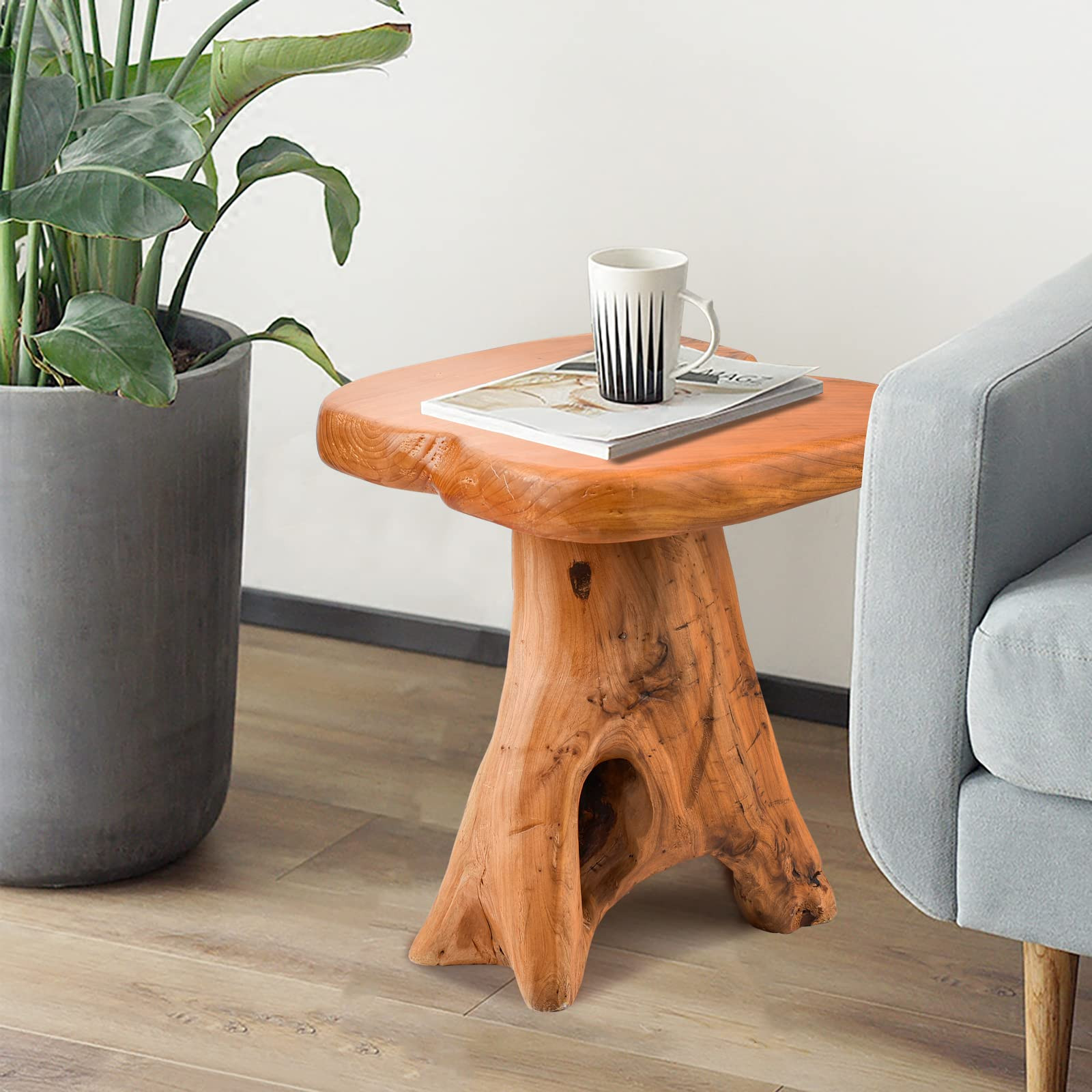 Small Side Table, Unique Design Live Edge Wood Stool, Freeform Natural Plant Stand for Garden, Ya... | Amazon (US)