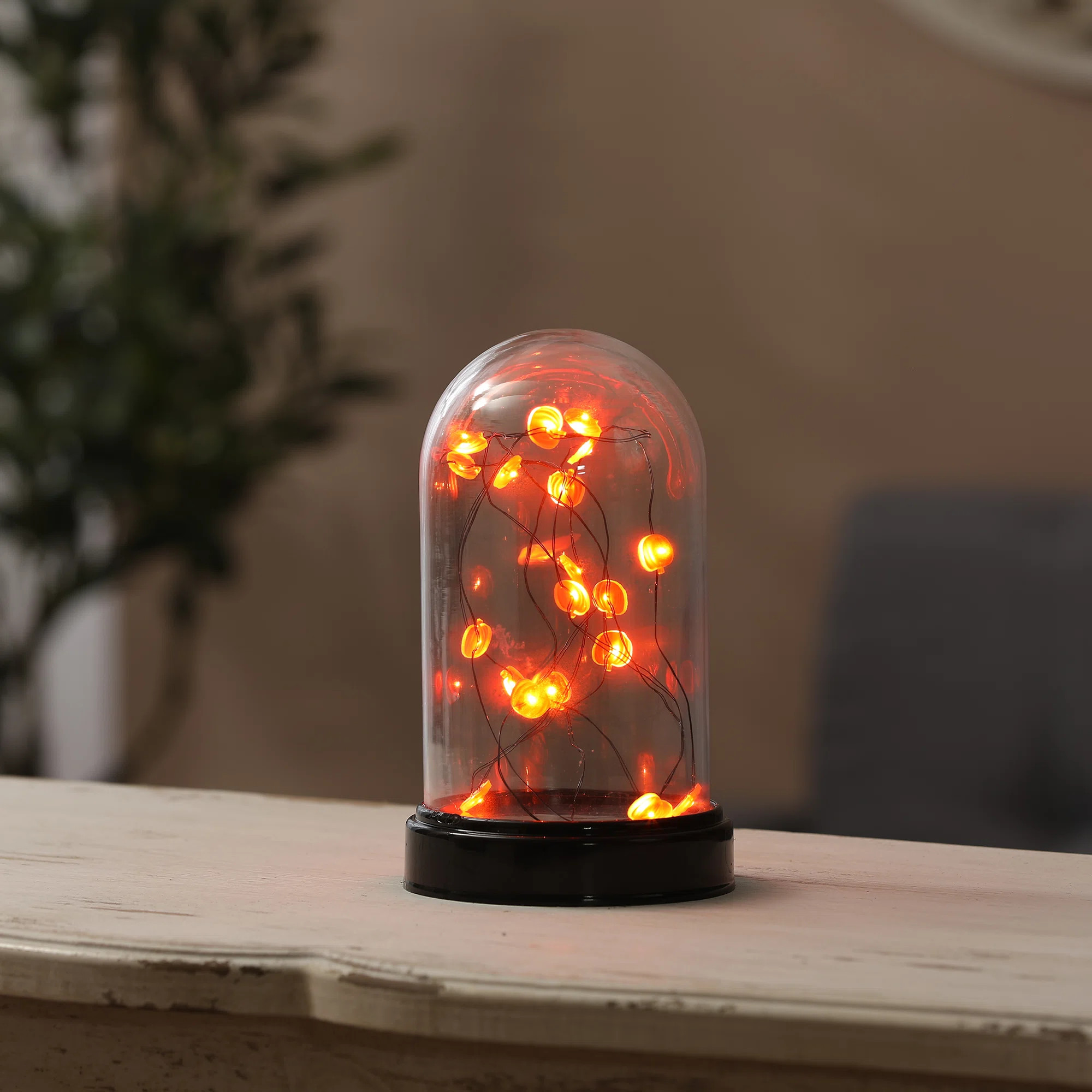 The Holiday Aisle® Lighted Fall Harvest Glass Dome Decorative Accent | Wayfair | Wayfair North America