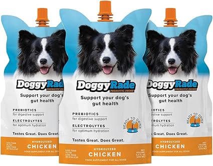 DoggyRade – Dog Sports Drink (Prebiotic, Isotonic Drink for Dogs) | Electrolytes, Nutrients & A... | Amazon (US)