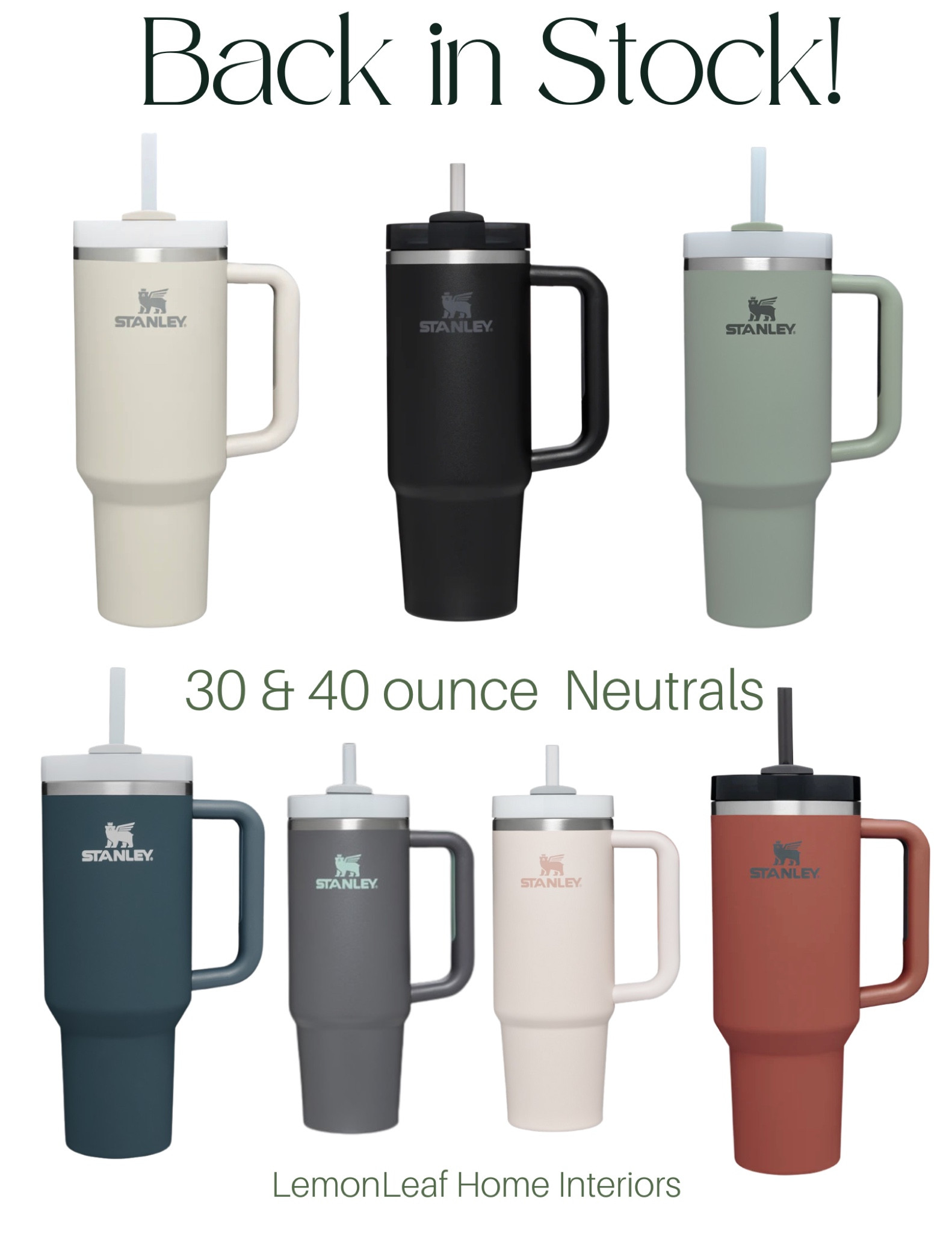 Stanley cup makes a great gift
Christmas gift idea


#LTKHoliday #LTKhome #LTKunder50