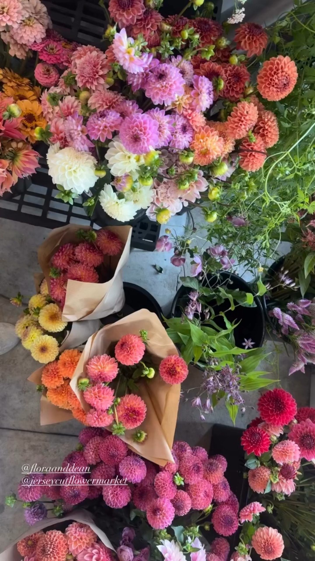 @floraanddean 
@jerseycutflowermarket

#LTKSeasonal #LTKHome #LTKWedding