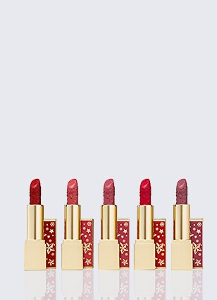 Kit De Natal Lábios: 5 Batons | Estée Lauder Brazil | Estee Lauder (BR)