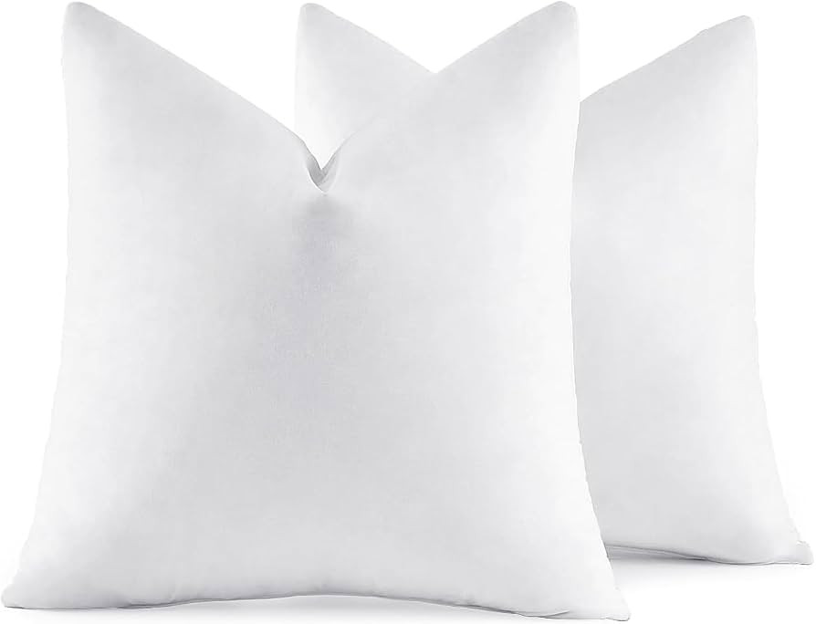 MIULEE 24x24 Euro Pillow Inserts, Set of 2 Down Feather Throw Pillows for Couch Sofa Bed, Decorat... | Amazon (US)