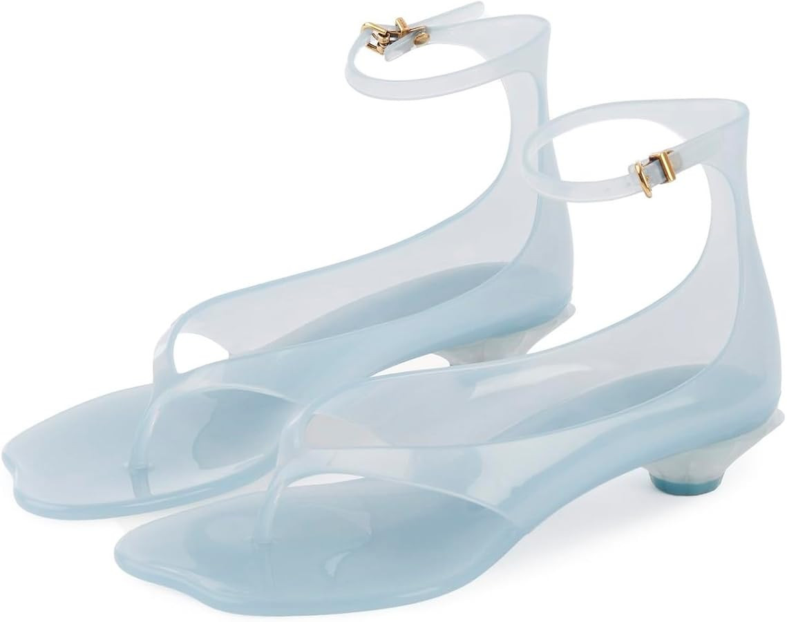 Wnshonzy Jelly Thong Sandals for Women Flip-Flop Kitten Low Heels Tabi Square Toe Summer Dressy C... | Amazon (US)