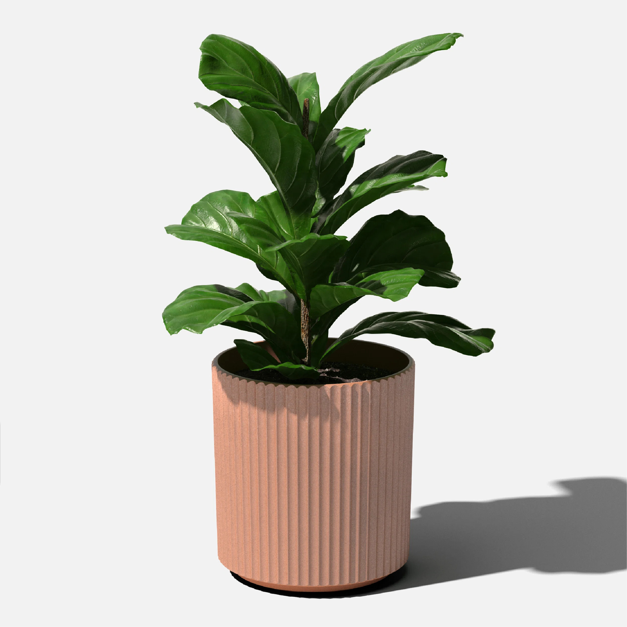 Veradek Demi Series Round Planter & Reviews | Wayfair | Wayfair North America