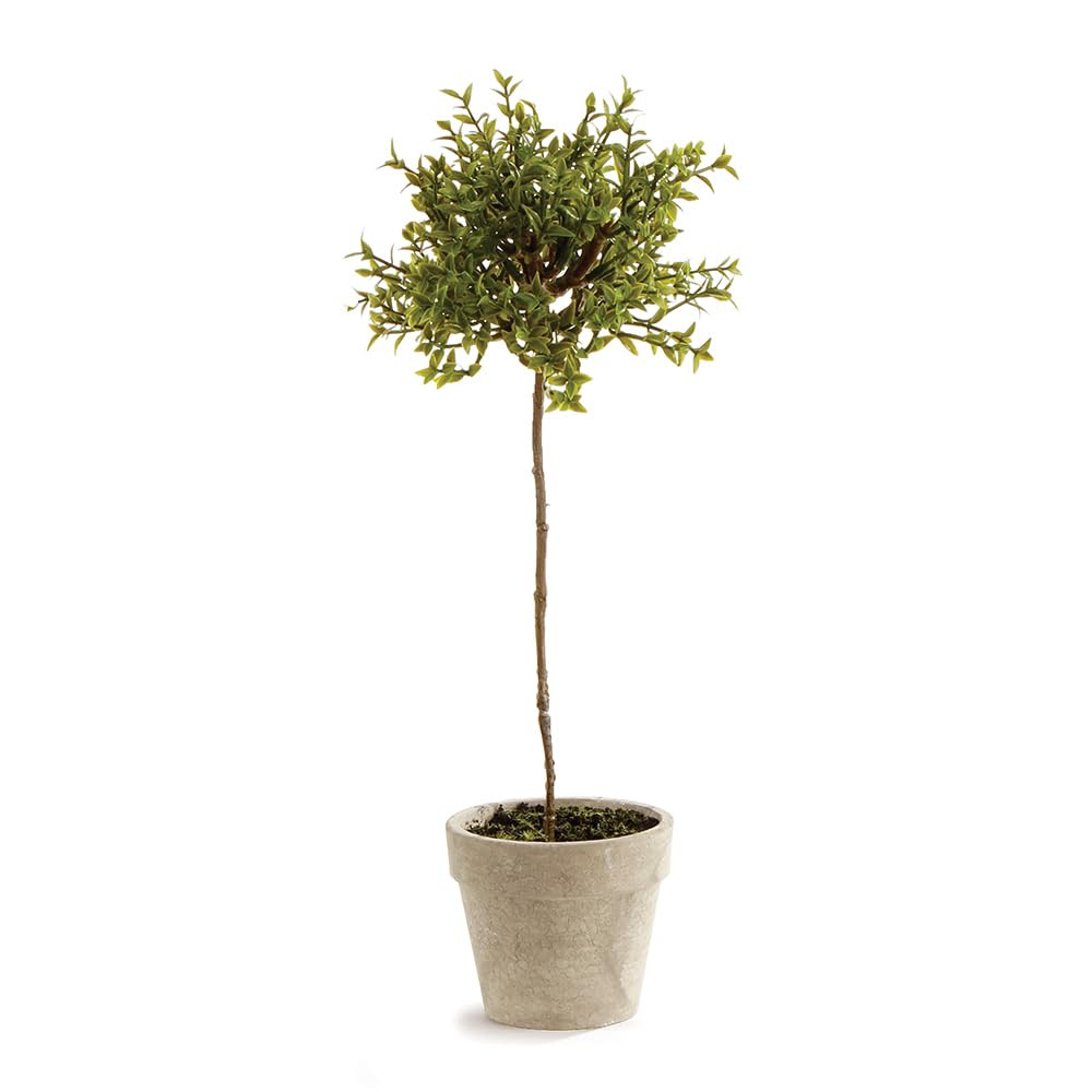 NAPA Home & Garden Thyme Topiary 13" | Amazon (US)