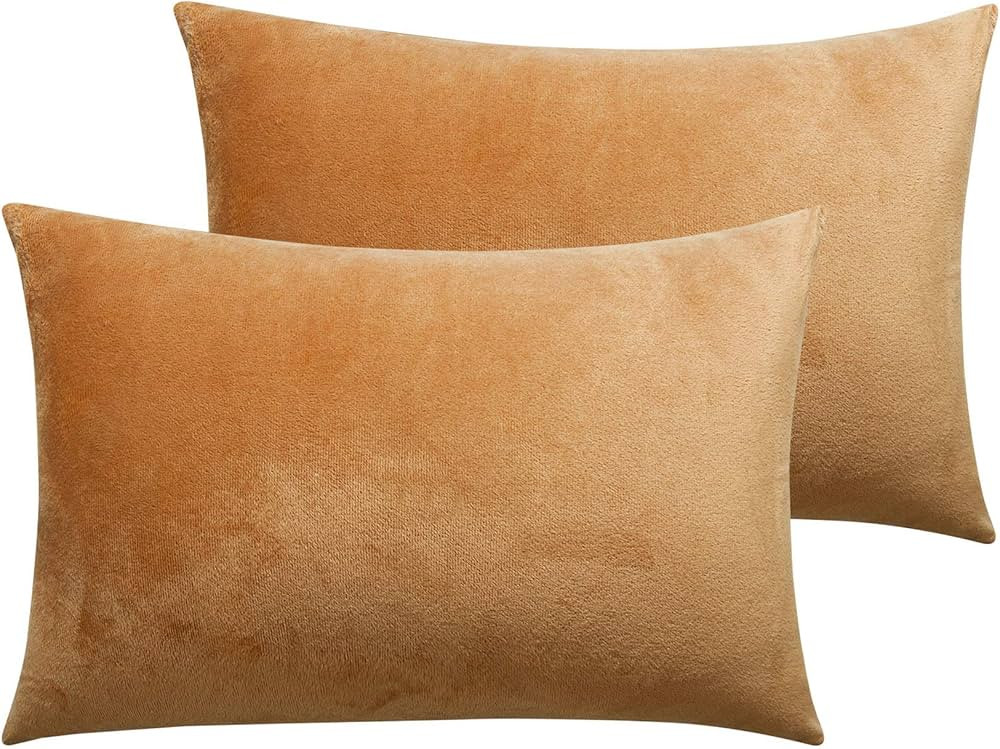 NTBAY Velvet Soft Solid Color Zipped Toddler Pillowcases, 2 Pack Cozy Luxury Zippered Plush Trave... | Amazon (US)