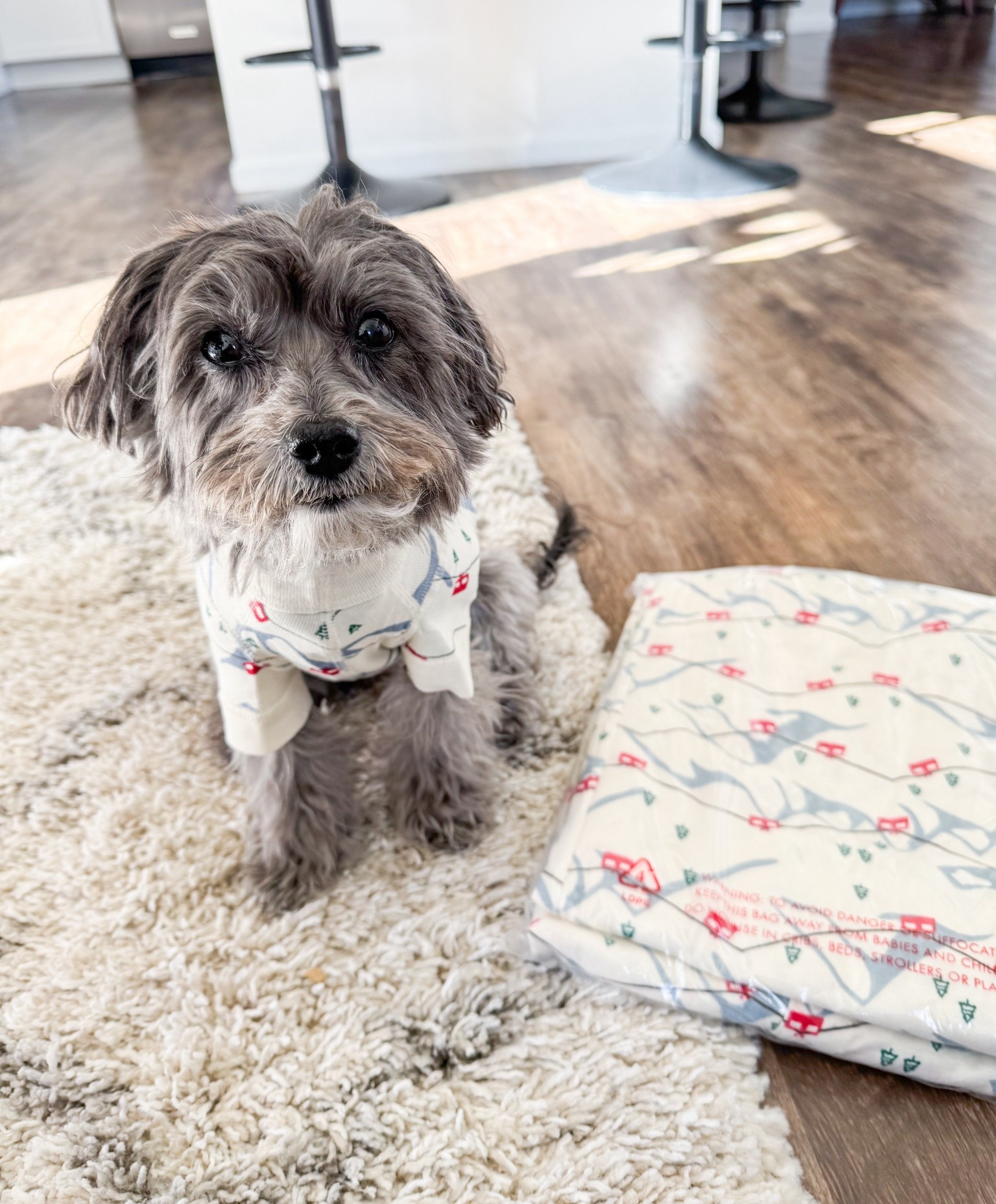 Pajamas for the whole family - dogs and cats included! 50% for the whole crew, grab them now before they sell out! 

We find that they run true to size & this year we went with the Gondola print. Perfect for the Holidays AND our Colorado mountain adventures! They would be a great addition for a skiing or snowboarding family trip present - Comfy matching PJs for everyone! 

#LTKCyberWeek #LTKHoliday #LTKGiftGuide