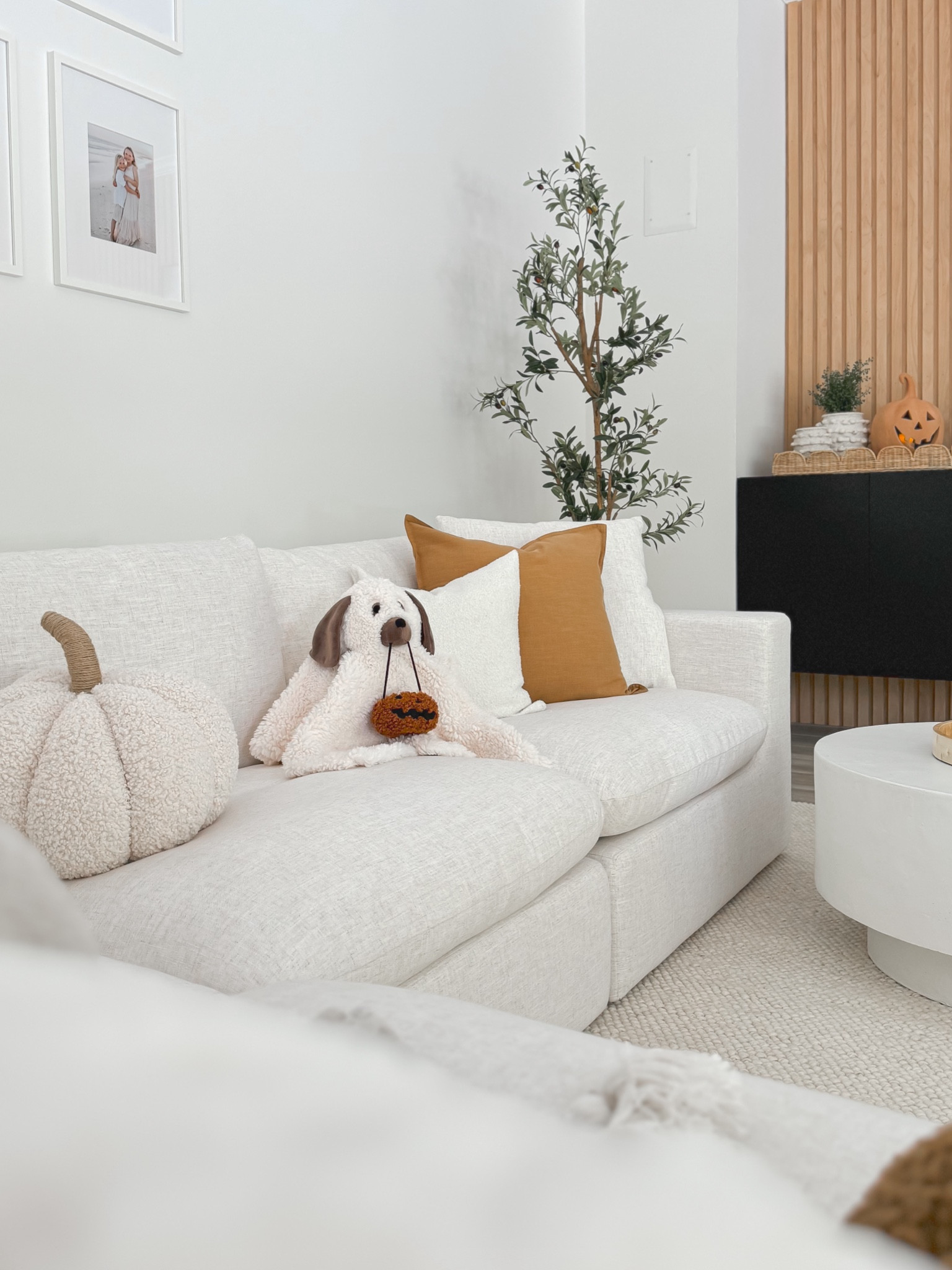 Halloween Puppy Pillow 

#potterybarn #mypotterybarn #halloween #pillow 

#LTKSeasonal #LTKHome