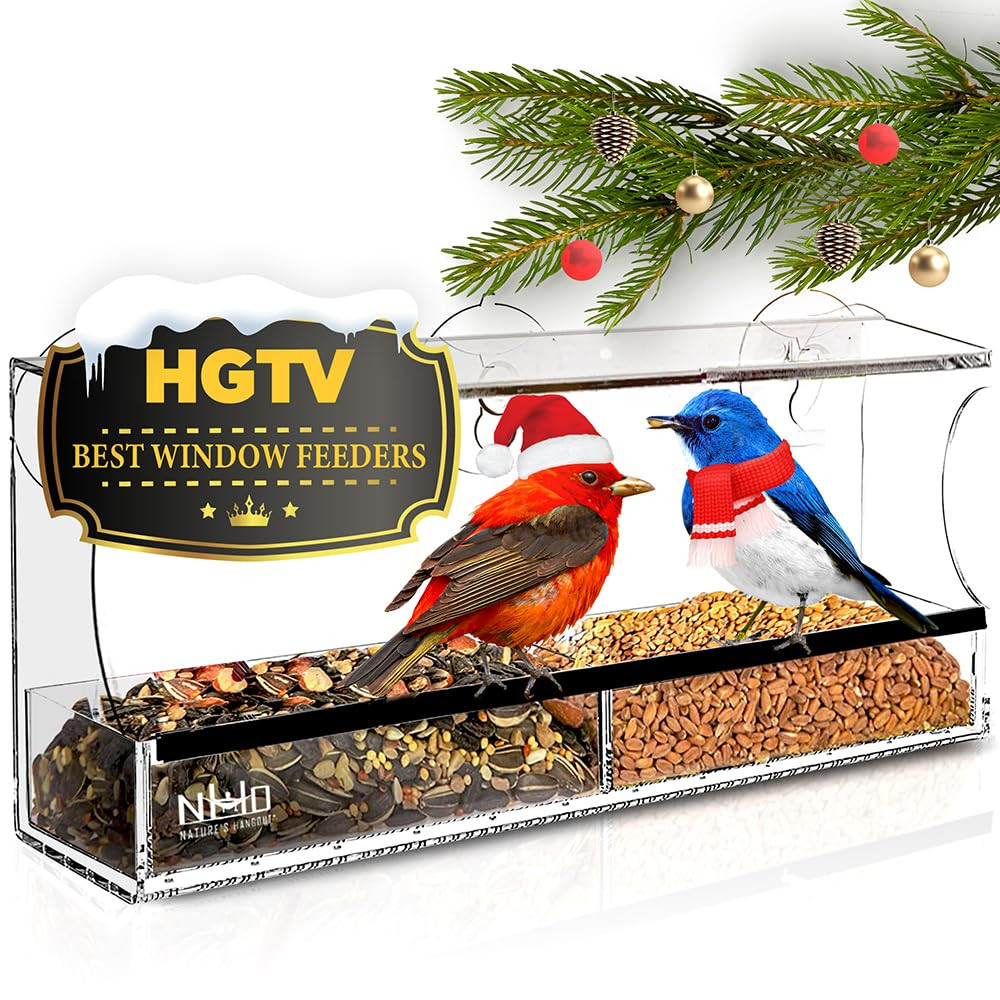 Window Bird Feeder with Strong Suction Cups, Clear Window Bird Feeders for Outside - Transparent ... | Amazon (US)