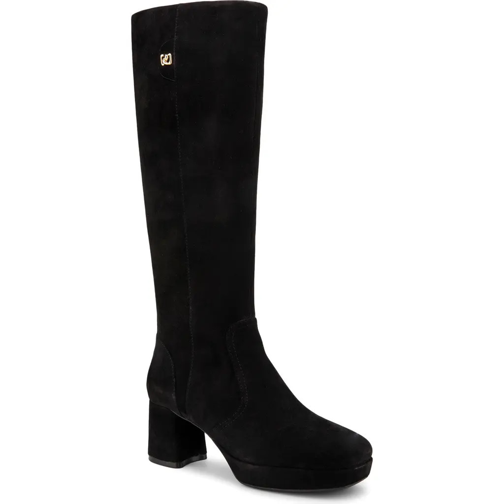 Aerosoles Syndey Knee High Boot in Black Suede at Nordstrom, Size 10 | Nordstrom