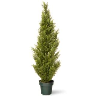 Arborvitae with Green Pot | Michaels Stores