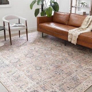 Alexander Home Leanne Traditional Distressed Printed Area Rug - 2'3" x 3'9" - Blush/Grey | Bed Bath & Beyond