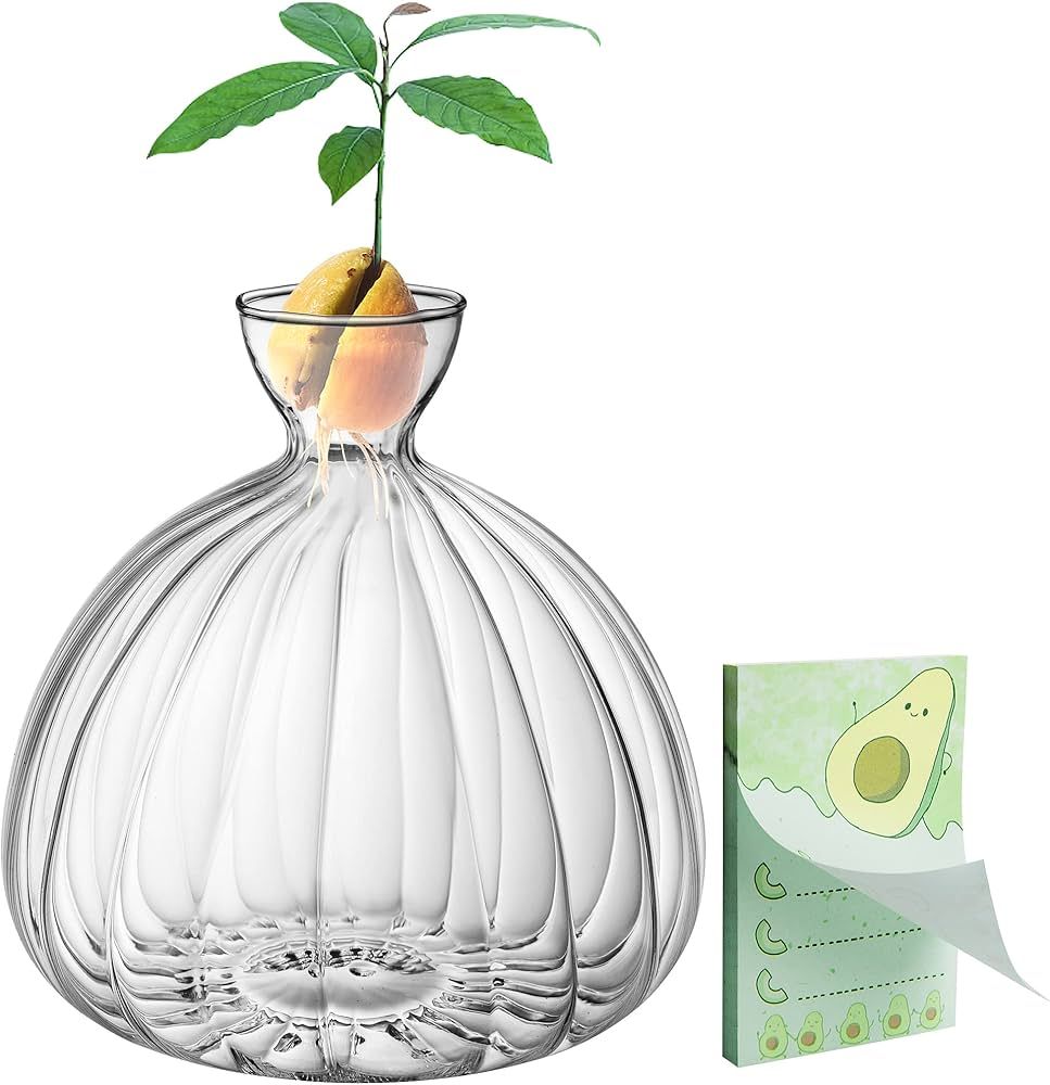 Avocado Seed Starter Vase,Thickened Striped Avocado Seed Sprout Glass Container, Avocado Tree Pla... | Amazon (US)