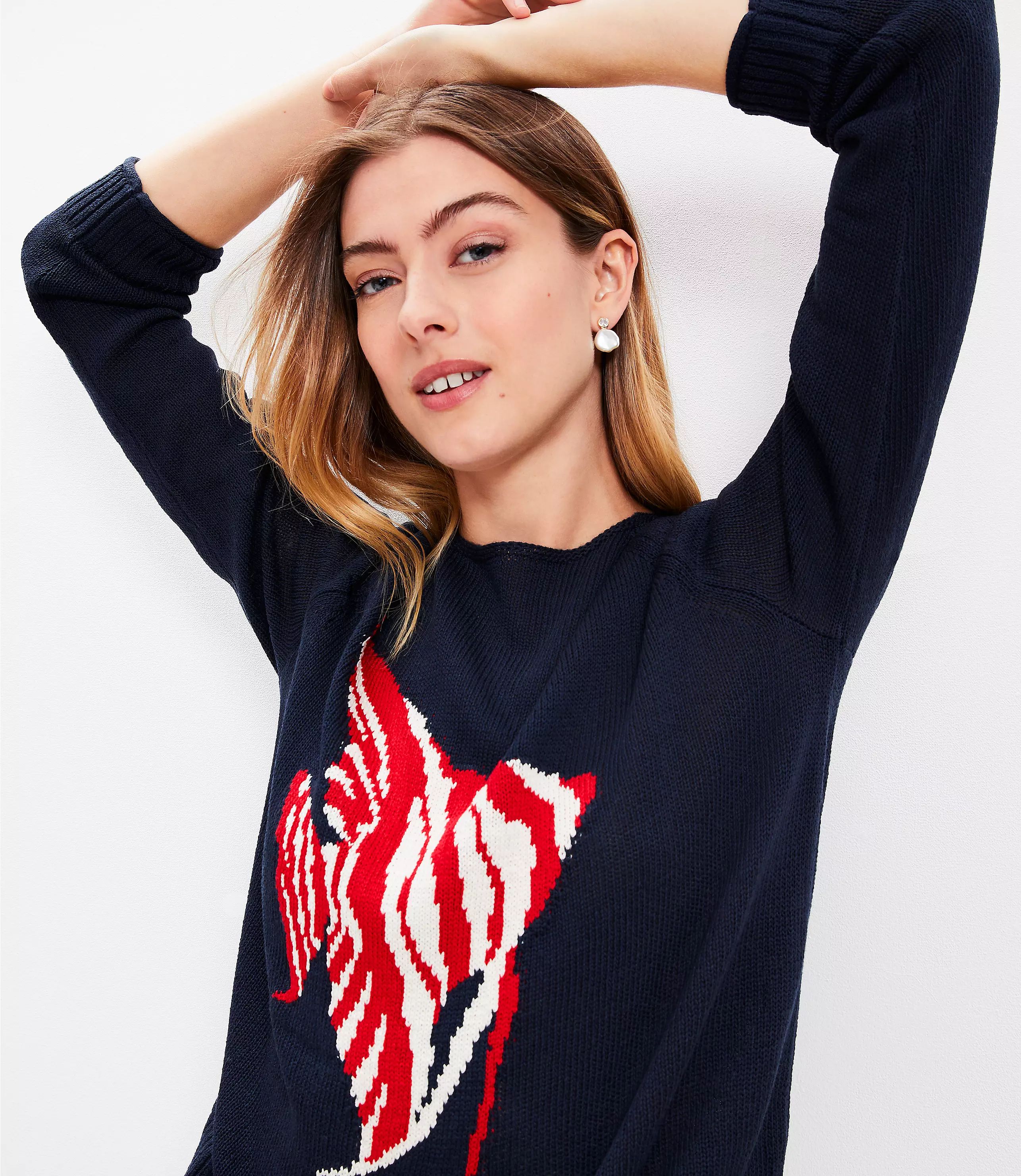 Fish Sweater | LOFT