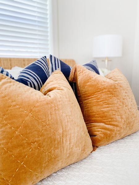 Velvet pillows add a soft visual texture to any space!
.
.
.
Velvet Pillows
Bedroom Decor
Living Room Decor
Trendy
Moody
Eclectic 
Modern 
Sleek
Elegant Design 

#LTKunder100 #LTKhome #LTKstyletip