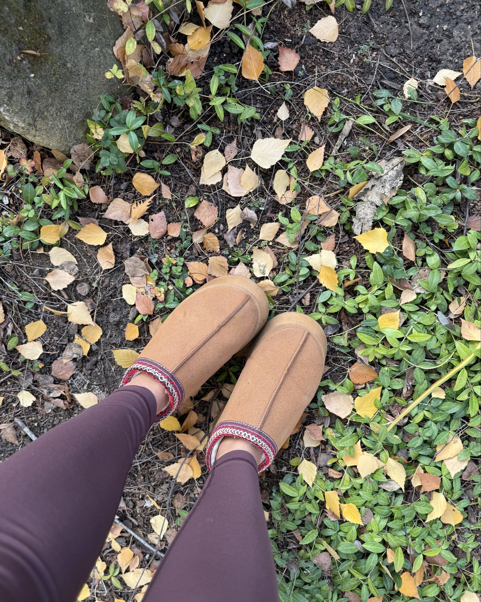 ✨ Cozy, chic, and totally giftable! These wedged slippers are my winter obsession ❄️ Perfect for Christmas gifting (or treating yourself 😉) and right now they’re 40% off on Amazon! Comfy never looked this cute 🥿💖

#LTKGiftGuide #LTKSaleAlert #LTKSeasonal