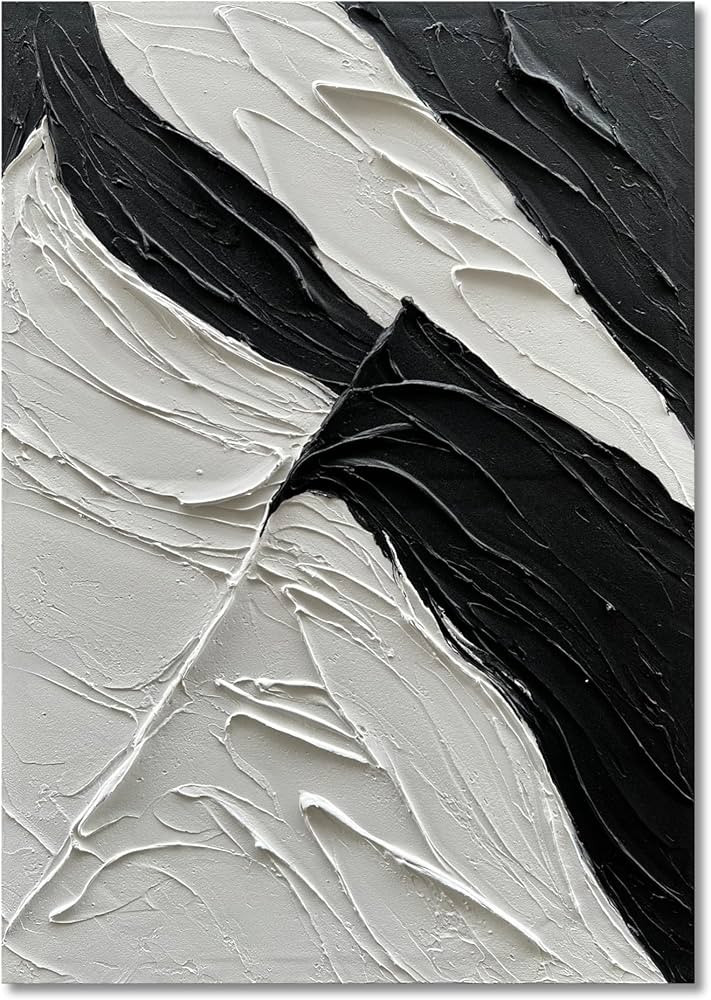 NANKAI Art Hand-painted thick textured white and black minimalist oil painting home wall art Deco... | Amazon (US)