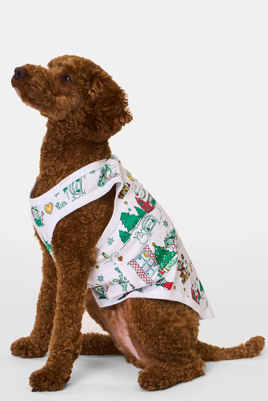Snow Village Dog Pajamas | Roller Rabbit