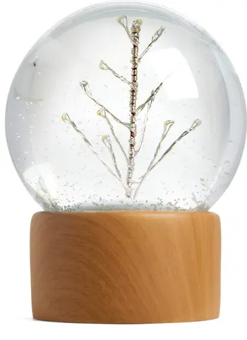 Nordstrom Lighted Tree Snow Globe | Nordstrom | Nordstrom