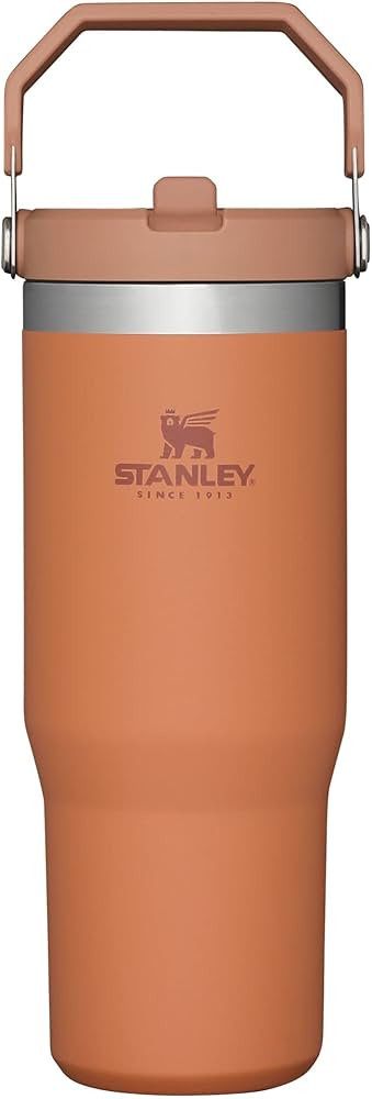 Stanley IceFlow Stainless Steel Tumbler with Straw - Vacuum Insulated Water Bottle for Home, Offi... | Amazon (US)