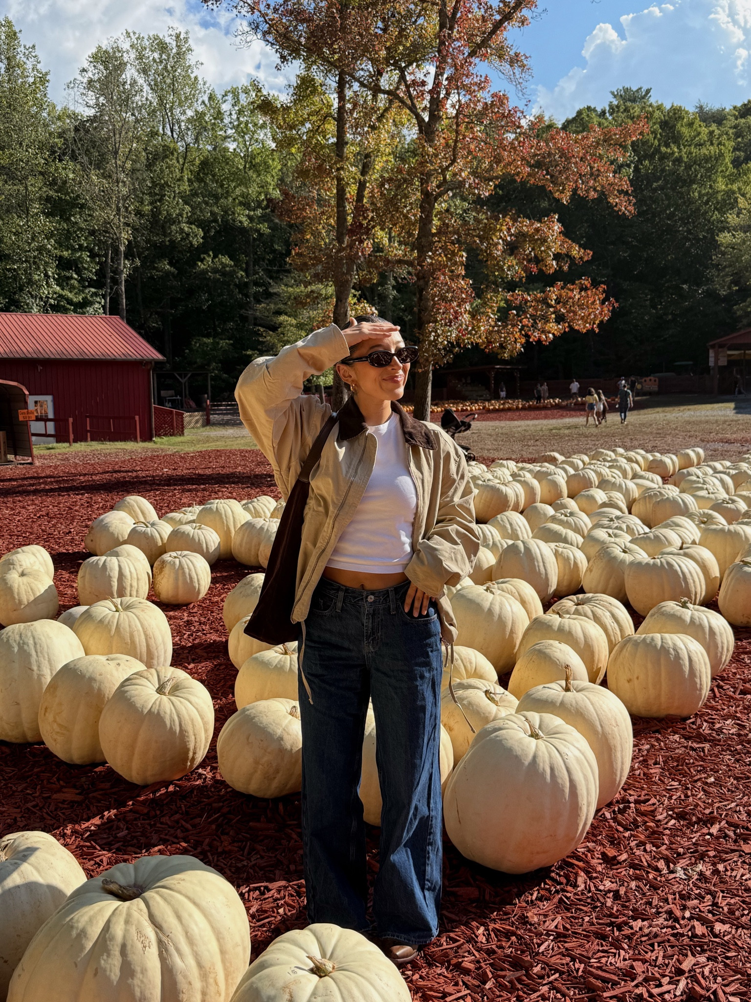Pumpkin patch outfit inspo 🍂 

#LTKSeasonal #LTKPetite #LTKStyleTip