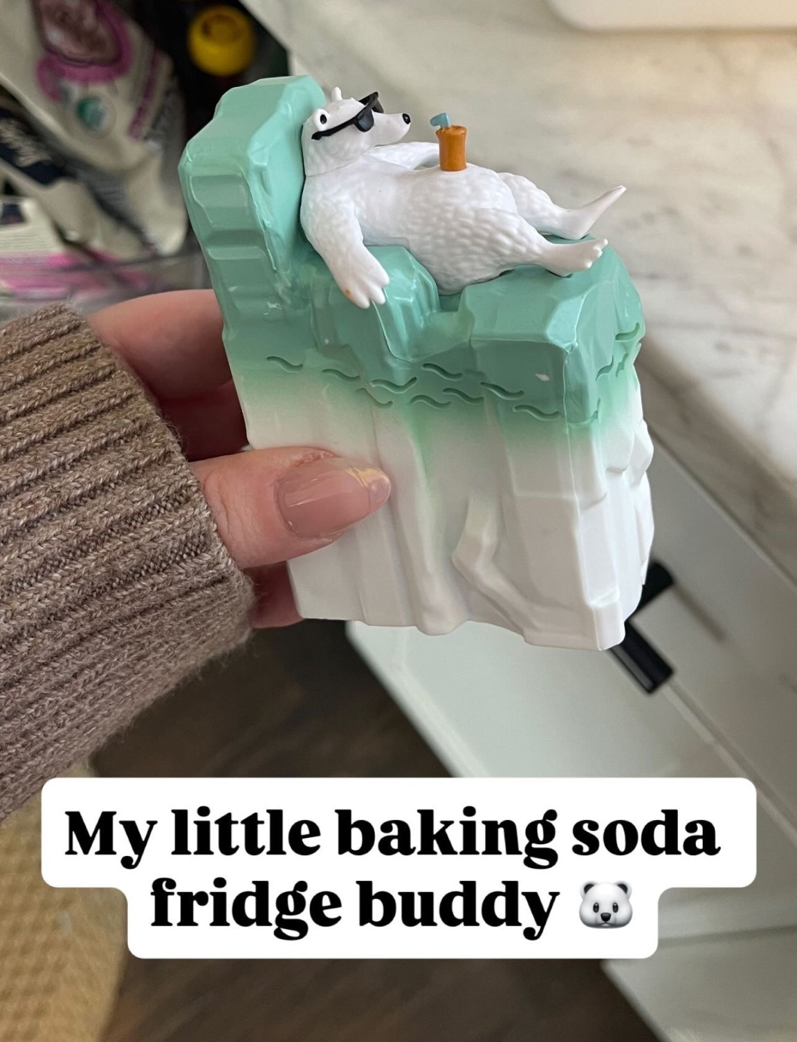 Baking soda fridge holder, homesteading, kitchen tools, fridge organization, kitchen organization 

#LTKHome #LTKSaleAlert #LTKmomlife